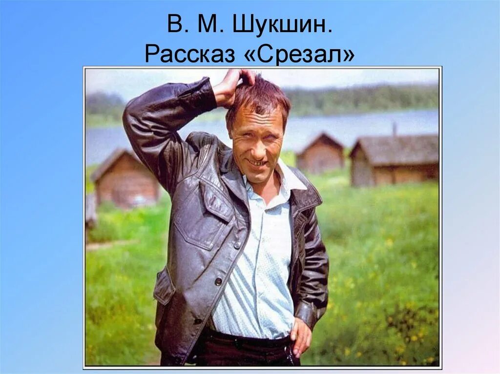 Рассказ василия шукшина срезал. Шукшин срезал. Рассказ срезал Шукшин. Шукшин срезал картинки. Проблема рассказа срезал Шукшин.