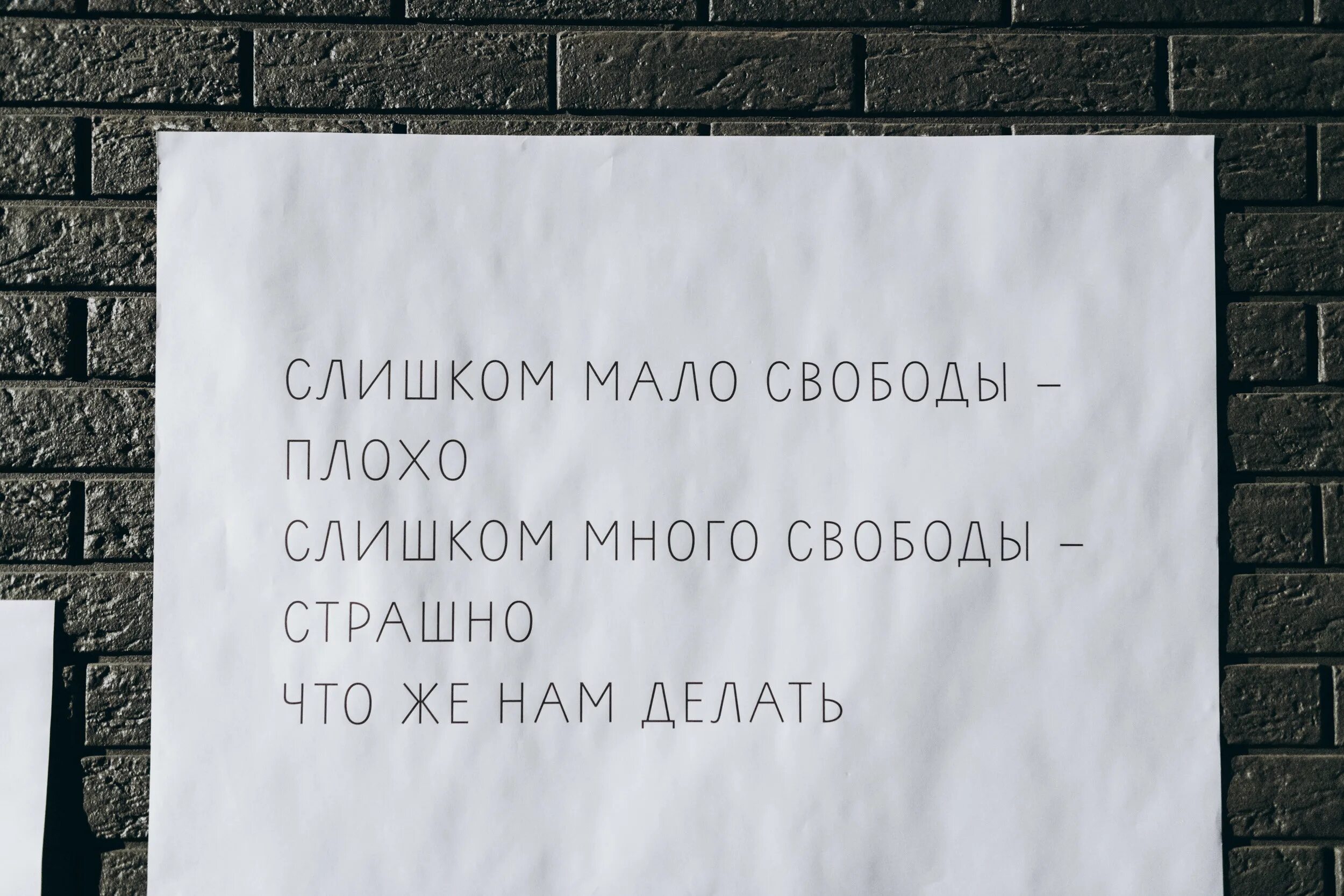 Свобода демотиваторы. Смешные фразы про свободу. К новой свободе. Свобода свобода так много так мало. Смешные фразы про свободу.