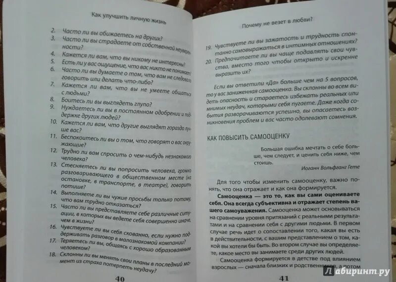 Как наладить личную жизнь. Как преодолеть одиночество книга. либерман я.л. книги. улучшить личную жизнь.