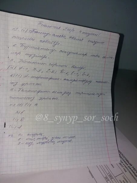 Бжб 8 сынып биология 3. Биология 9 класс ТЖБ 4 тоқсан. БЖБ. 9 Кл биология БЖБ 2 тоқсан. Биология ТЖБ.