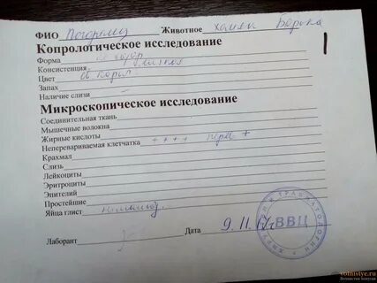 Копрологическое исследование кала