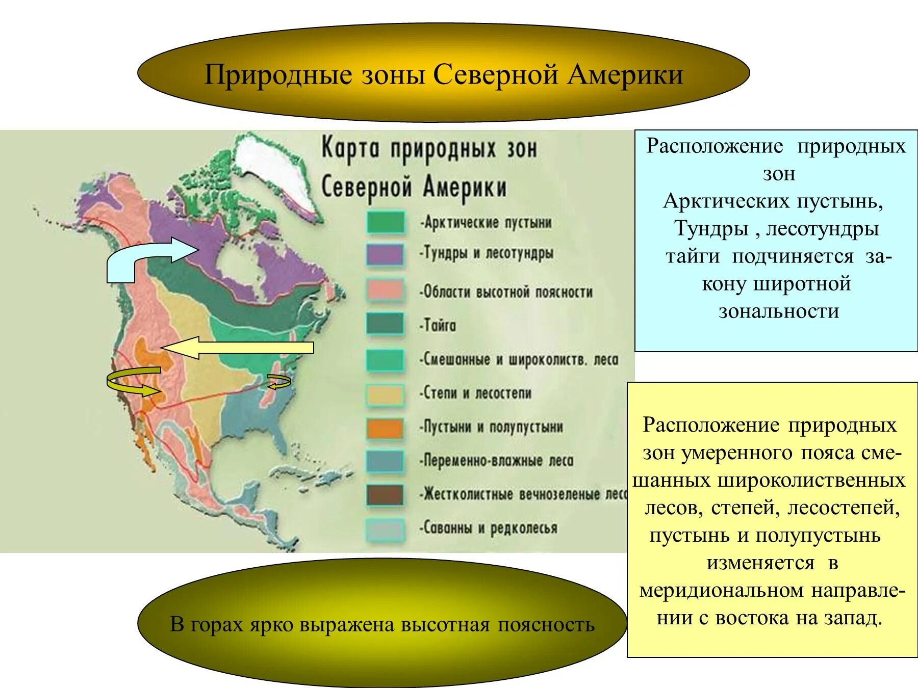 Презентация природные зоны северной америки 7. География Северная Америка природные зоны. Карта природных зон Северной Америки. Природные зоны Северной ам. Природный соны Северной Америки.