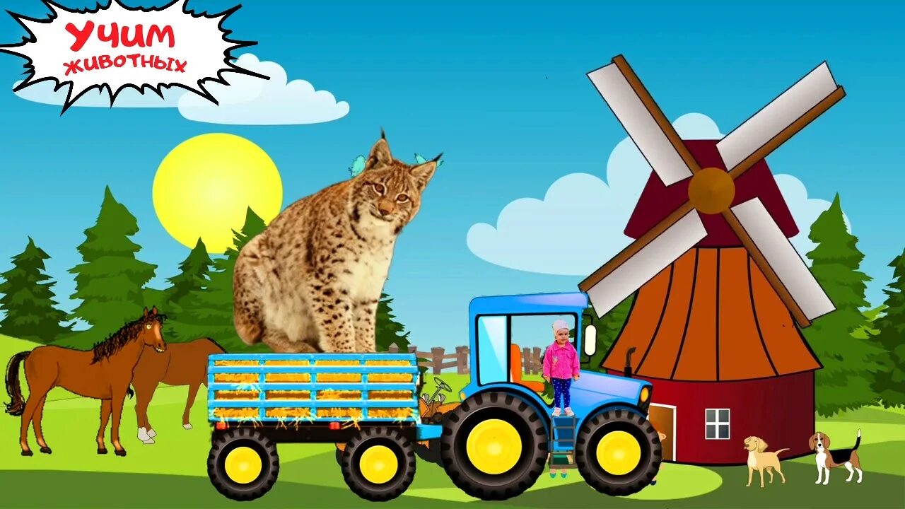 Синий трактор учим животных. Синий трактор учим животных
