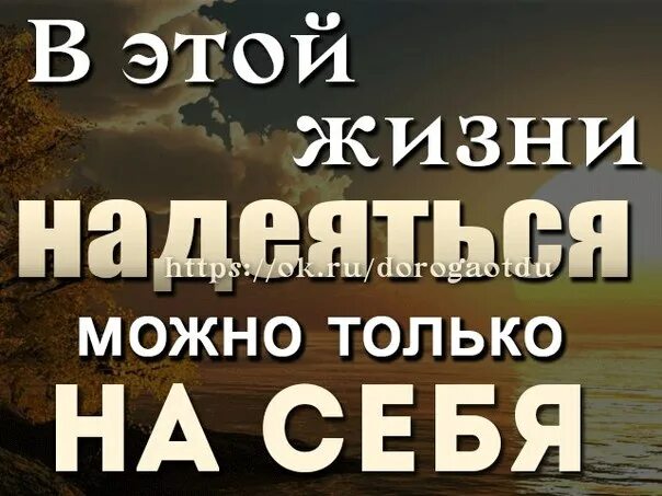 Н на что надеяться. В этой жизни надейся только на себя. Надеяться только на себя. В жизни надо надеяться только на себя цитаты. Надеяться только на себя цитаты.