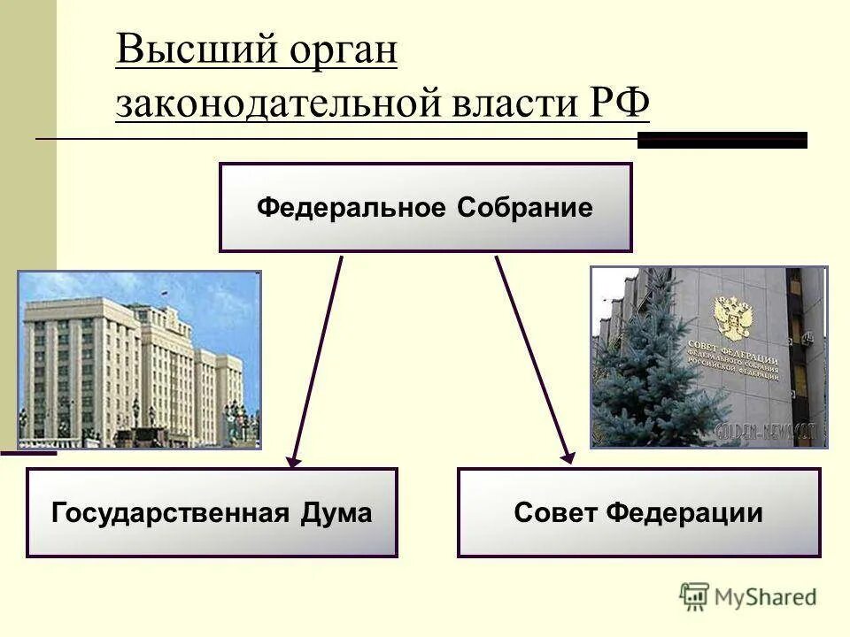 Как называют власть в россии. Структура законодательной власти РФ. Законодательная власть в РФ. Высший орган законодательной власти. Органы законодательной власти в России.