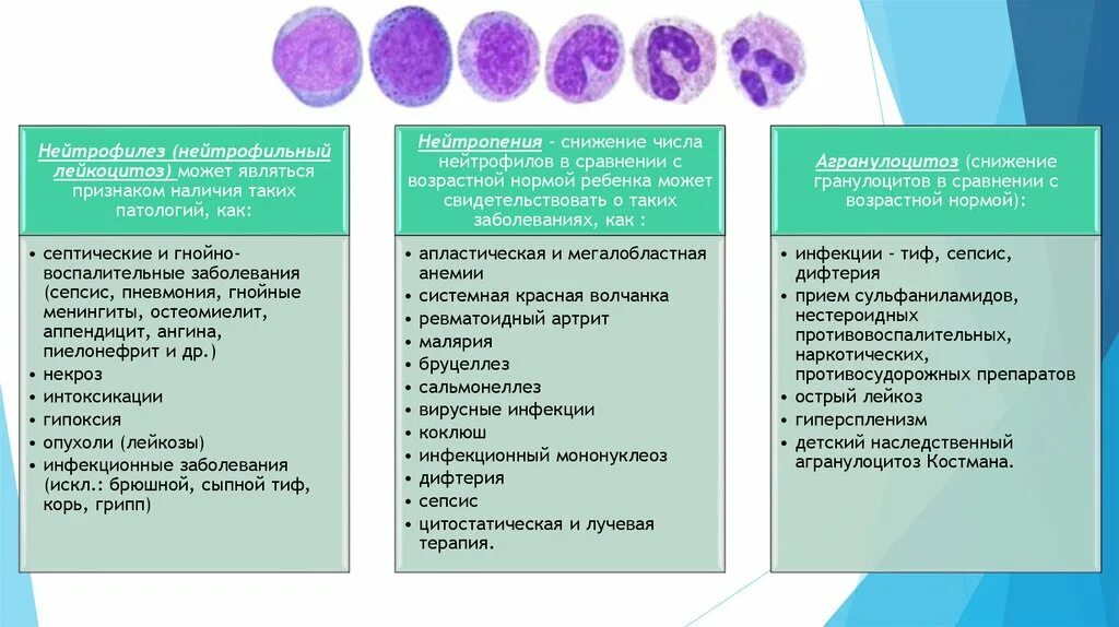Сепсис клинические рекомендации 2021. Нейтрофилы при бактериальной инфекции. Нейтрофильный лейкоцитоз причины. Лейкоцитоз бактериальная инфекция. К каким инфекциям относится дифтерия грипп туберкулез