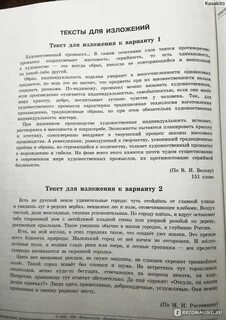 Сочинение огэ цыбулько