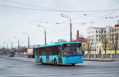 Автобус 247 спб