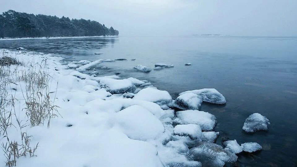 Восточное побережье Онежского озера зимой. Температура воды в Онежском озере. Онежское озеро температура. Онежское озеро температура воды летом. Онежское озеро егэ