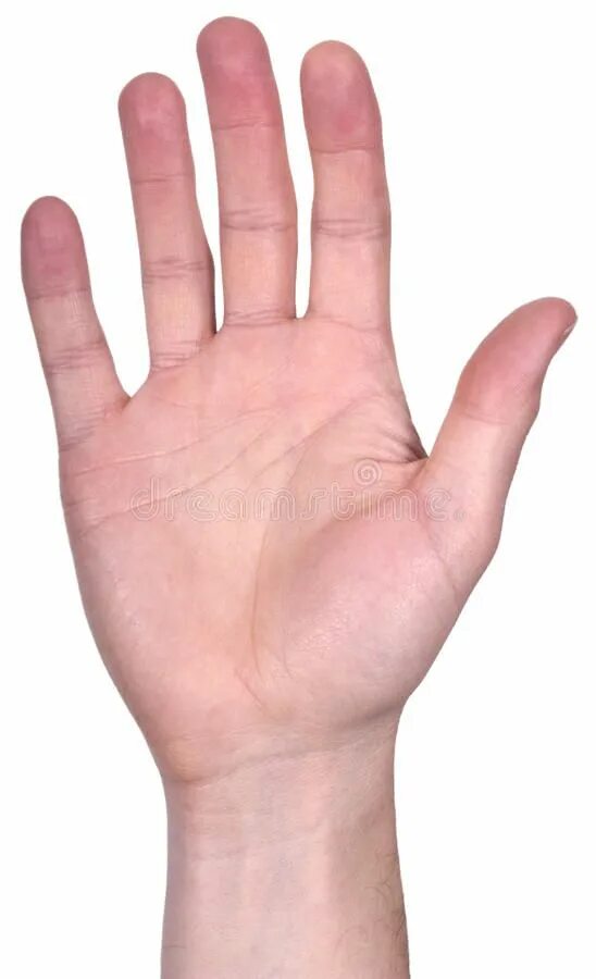 Маленькие руки для фотошопа. Five hand. In the palm of your hand. The reading palms. In the palm of your hand.