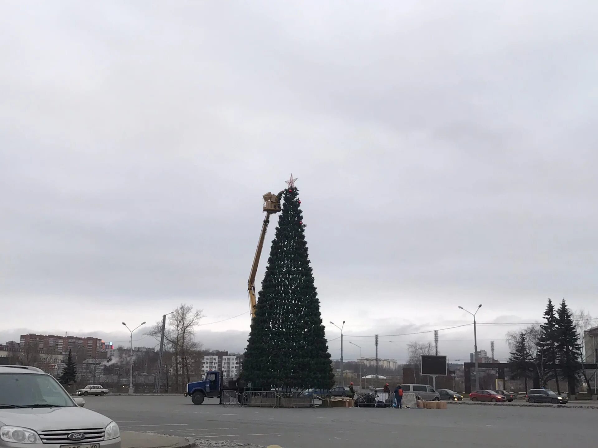 Какую елку поставили