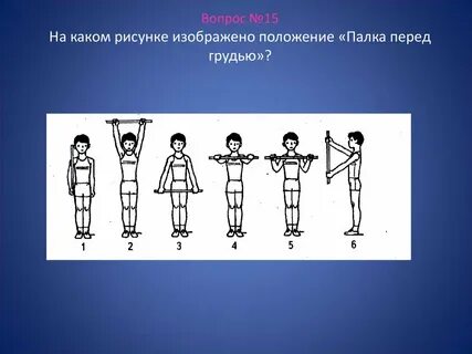 Основная стойка в физкультуре