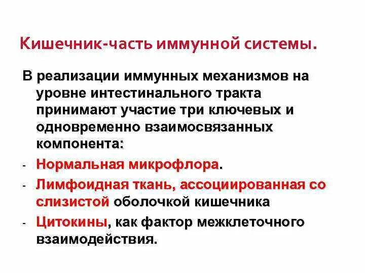 Иммунная связь. Кишечник и иммунитет связь. Иммунная система ЖКТ. Строение иммунной системы кишечника. Микрофлора кишечника и иммунитет.