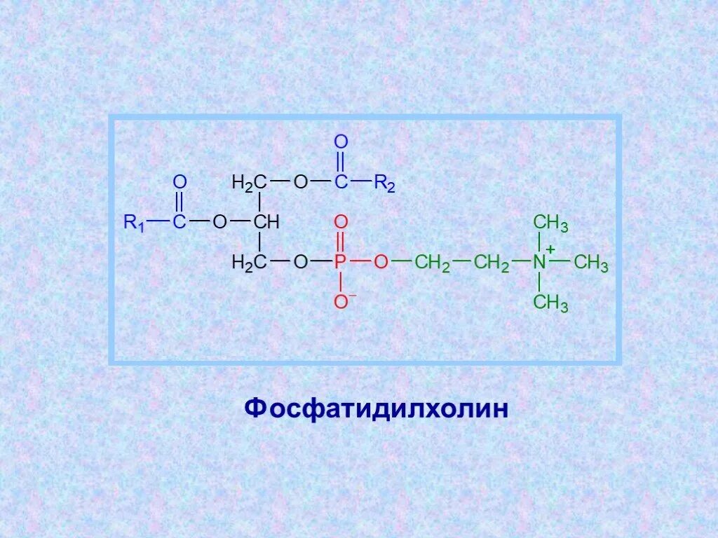 Фосфатидилхолин это. Лецитин фосфатидилхолин формула. Формула фосфатидилхолина лецитина. Фосфатидилхолин формула. Фосфатидилхолин структурная формула.