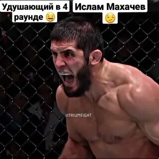 Бой дагестане