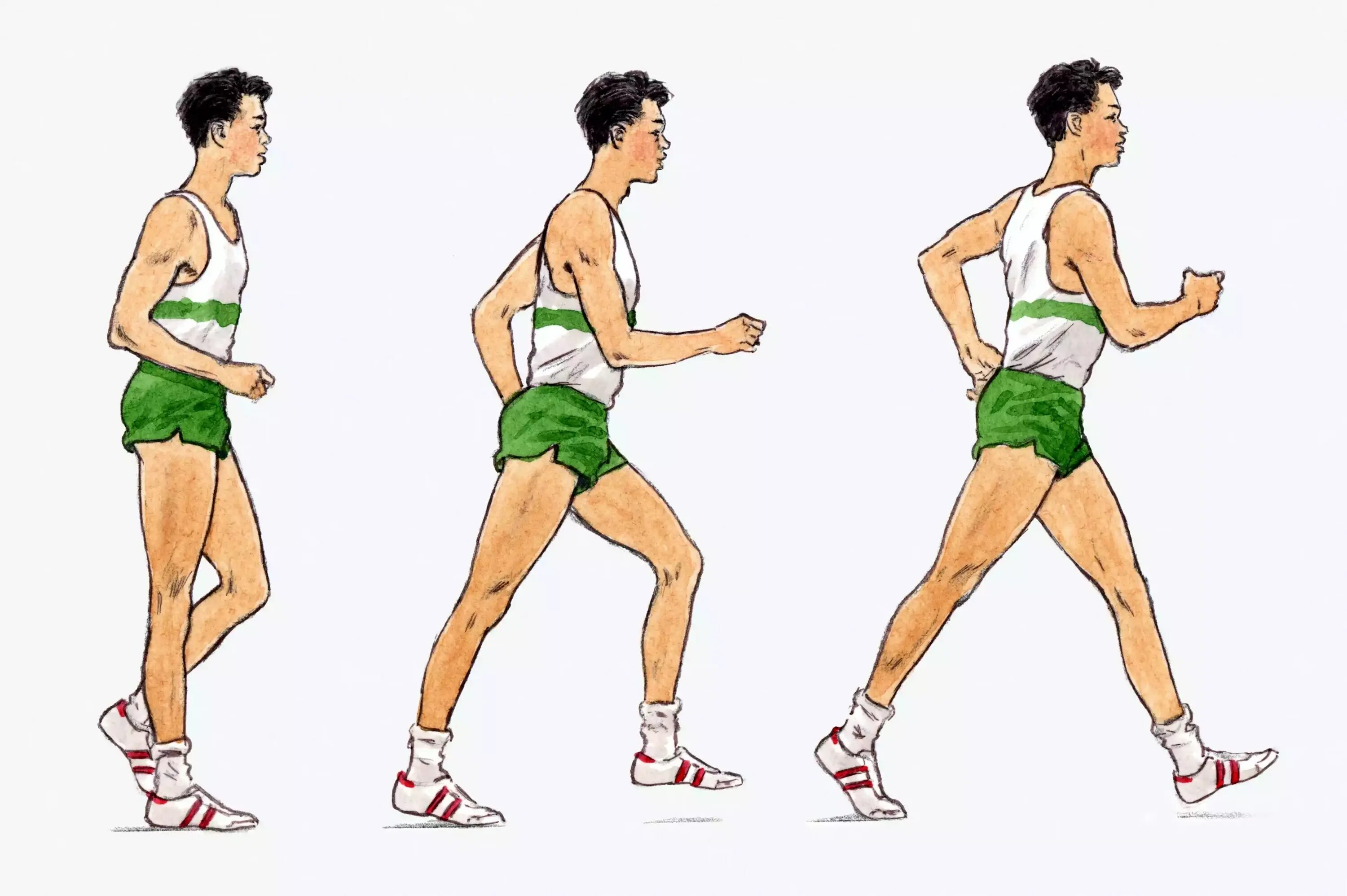 Техника бега на 1 км. Спортивная ходьба. Спортивная ходьба рисунок. Техника ходьбы. Легкоатлетические упражнения ходьба.