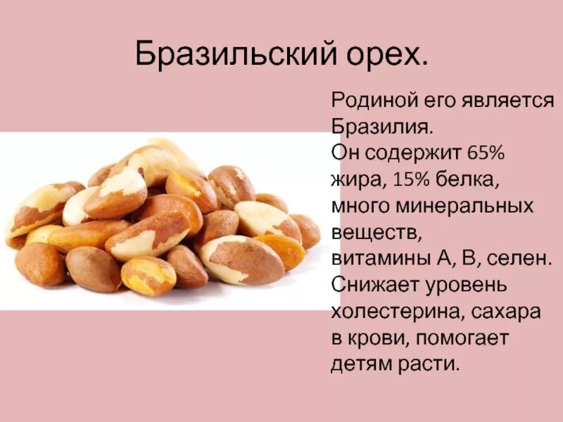 Бразильский орех фото цена полезные свойства Бразильский орех полезные свойства и противопоказания для женщин