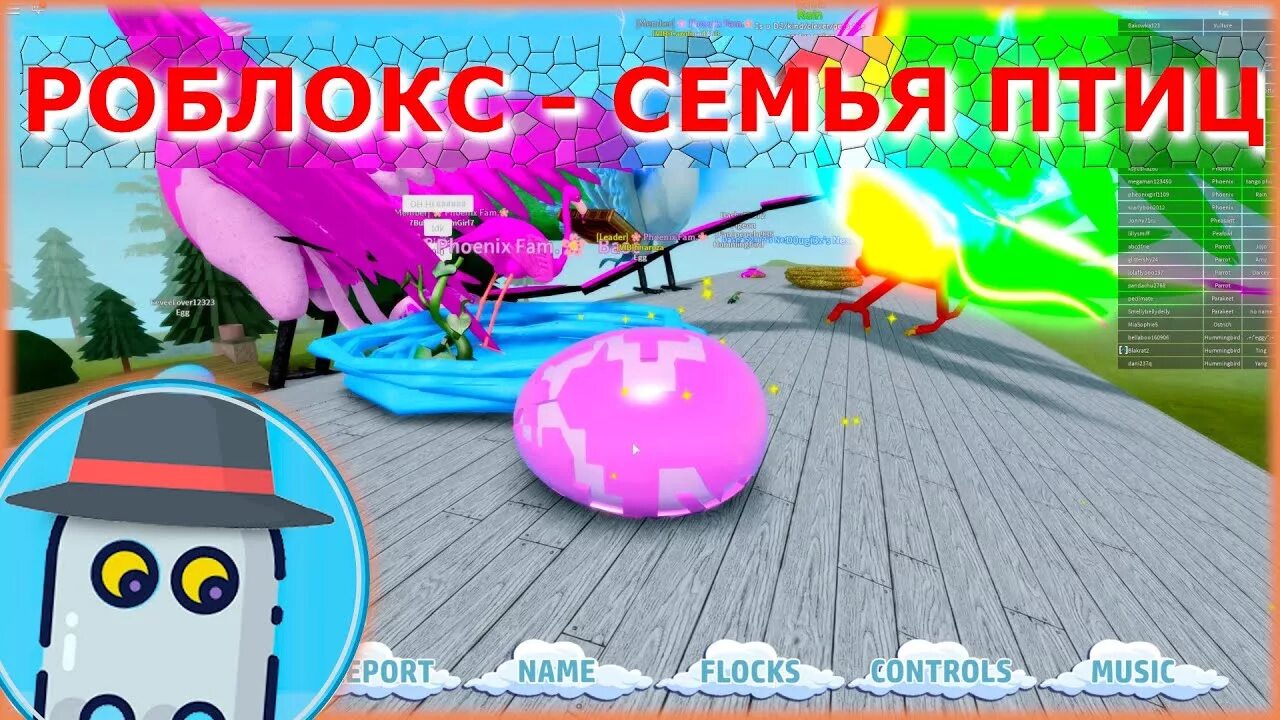 Роблокс птичья семья. Роблокс игра семья птиц. Роблокс птицы семья птиц. Птицы из роблокса feather family. Семья птиц роблокс феникс.