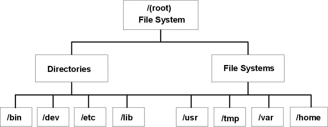 Systems википедия. Структура файловой системы Linux. Структура корневого каталога Linux. Fine System. Файловая система логотип.