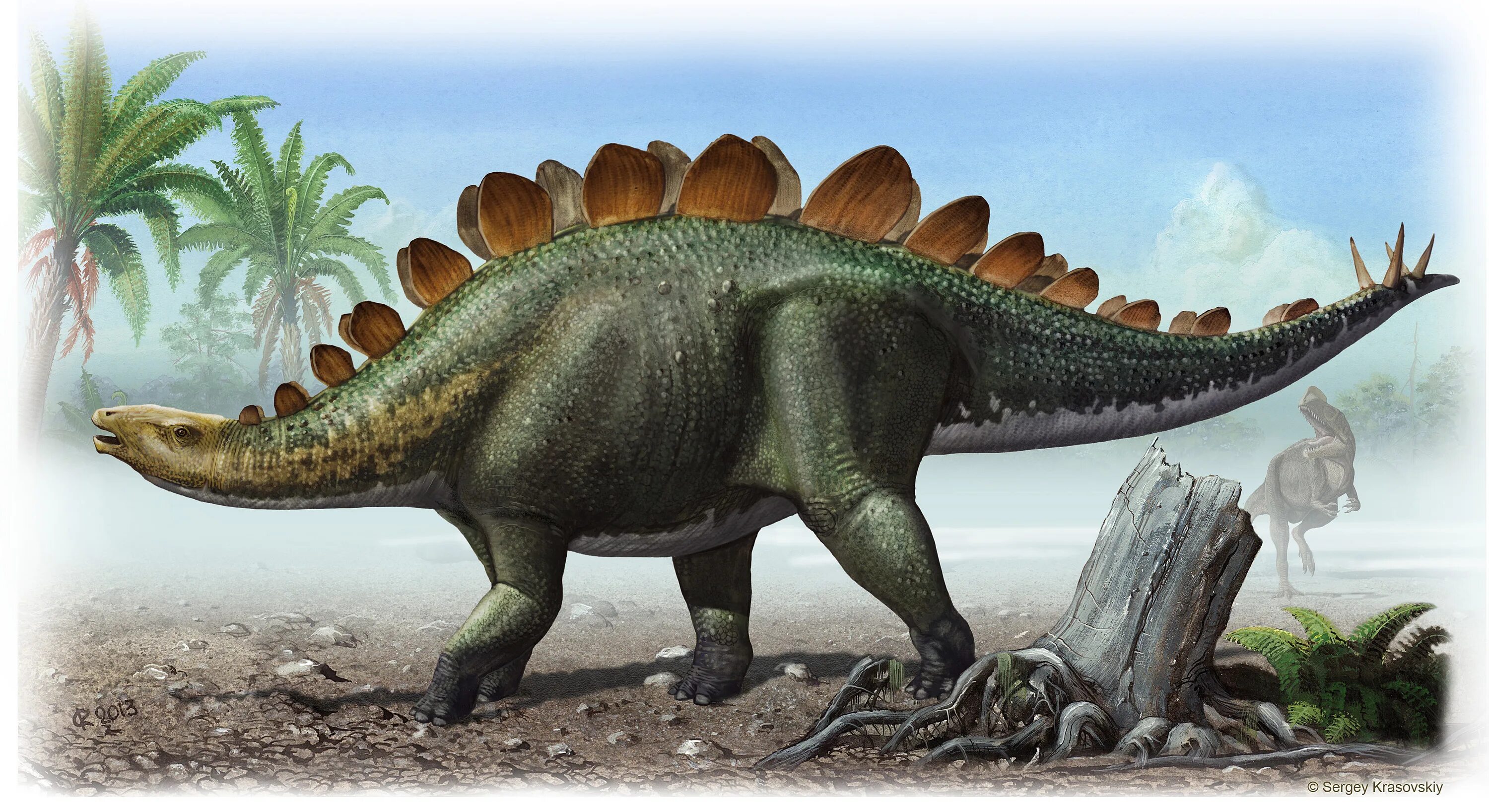 Стегозавр динозавры Юрского периода. Травоядные динозавры Стегозавр. Стегозавр палеоарт. Стегозавры (инфраотряд). Травоядные динозавры с шипами