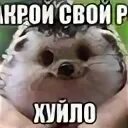Что значит ротик офф
