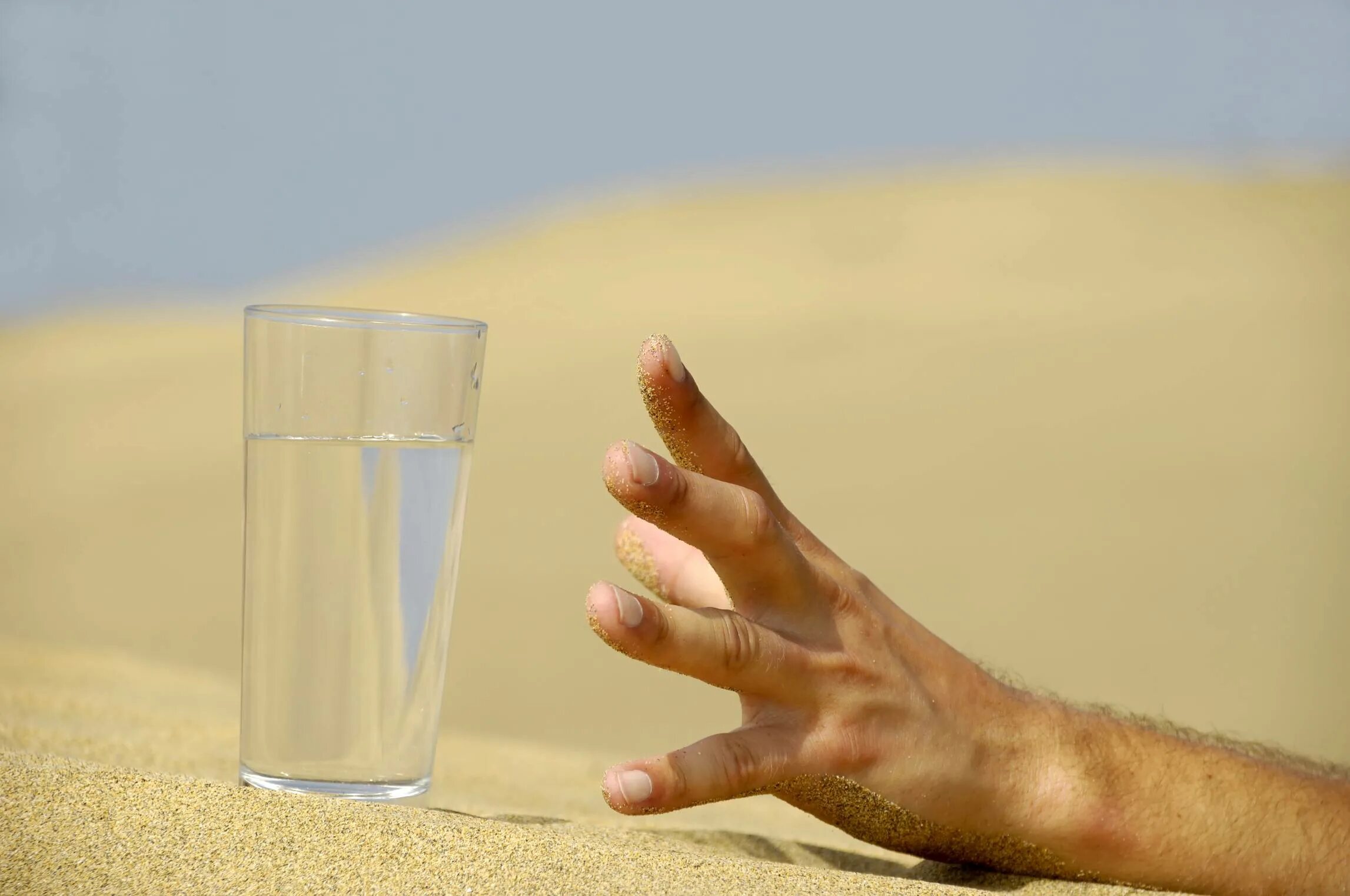 Появилась сильная жажда. Стакан воды в пустыне. Жажда воды. Жажда воды в пустыне. Стакан в пустыне.