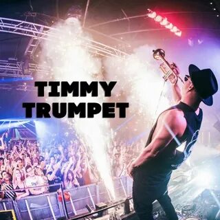 Timmy trumpet перевод