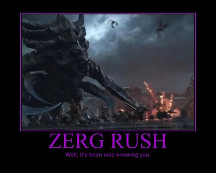 Zerg rush. Зерглинг раш. zerg crash. зерг раш мем. зерг раш приколы.