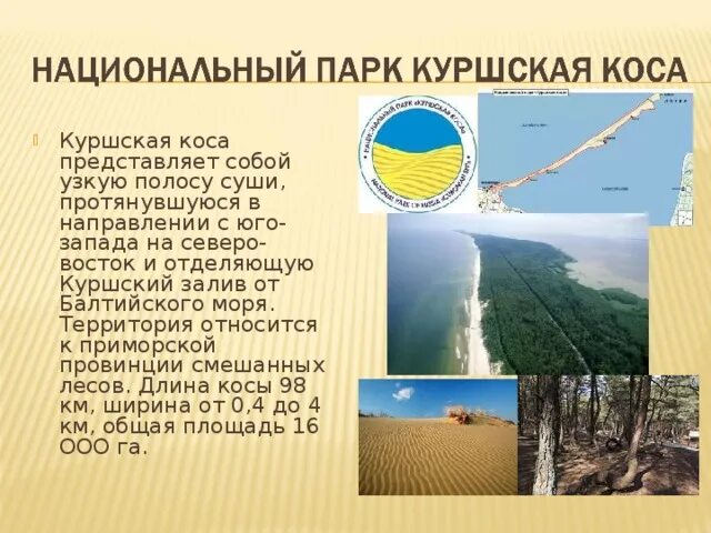Куршская коса интересные факты фото YugNash.ru