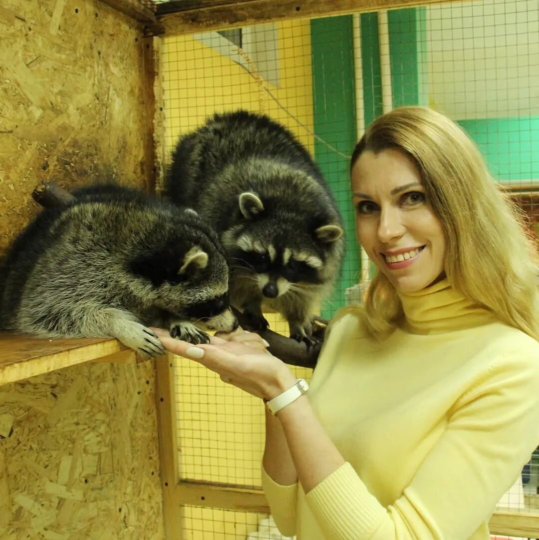 Московский зоопарк камерунская коза. Гомельский зоопарк. Контактный зоопарк. Гомельский зоопарк. Контактный зоопарк гомель.