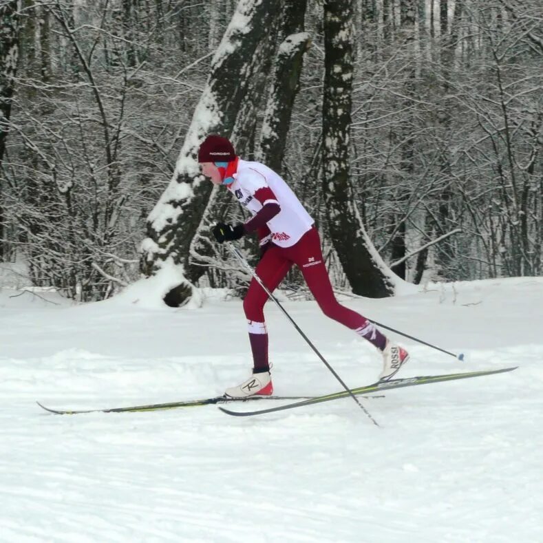 Разряды лыжников. Горнолыжные лыжи. Лыжные гонки Брянская область. База лыжников Брянск. Лыжи для 11 лет.