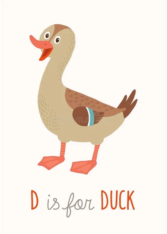 D is for Duck. Duck for Kids with White background.