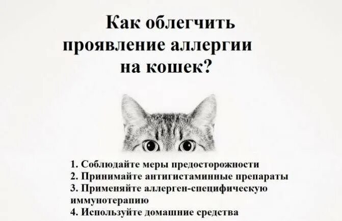 Проплан для снижения аллергенов в шерсти. Аллергия на кошек на кошек. Purina pro plan против аллергии. Таблетки для стерилизации кошек. Аллергия стерилизованных кошек.