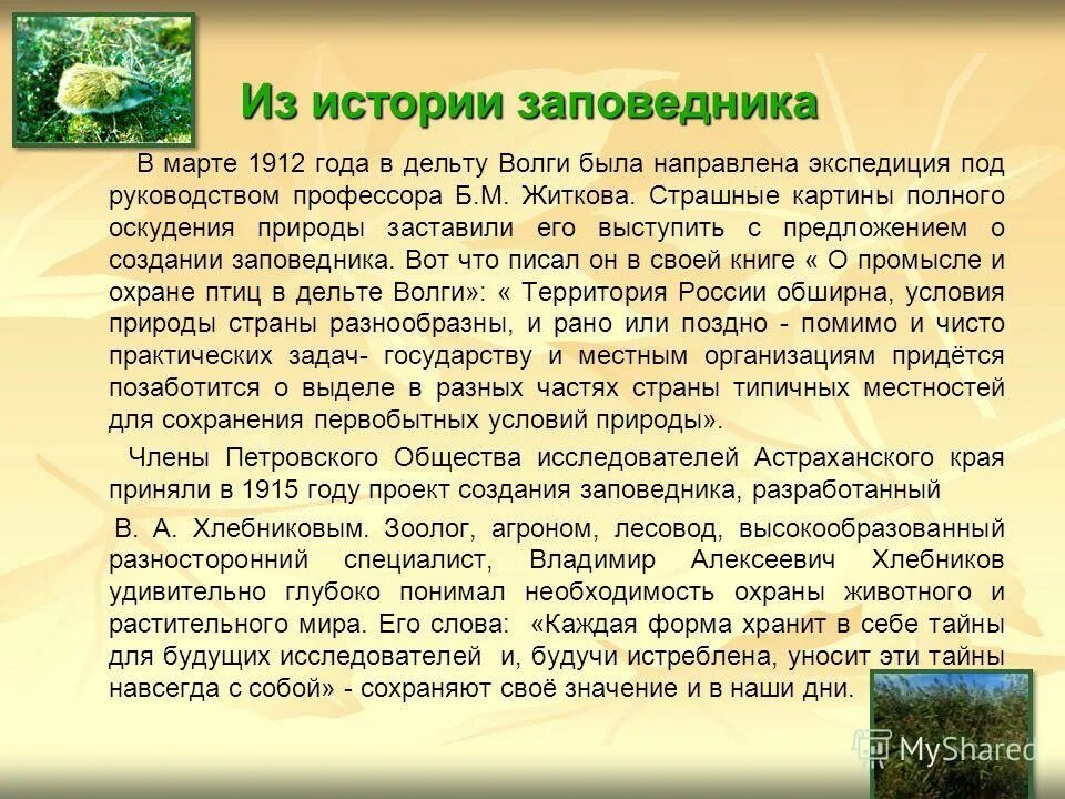 астраханский как пишется. астраханский заповедник территория. астраханский как пишется. географическое положение астраханской области. заповедники презентация.