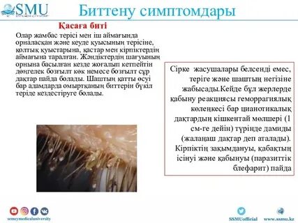 Приходтың діни қызметкермен жыныстық қатынасқа түскені туралы бейне