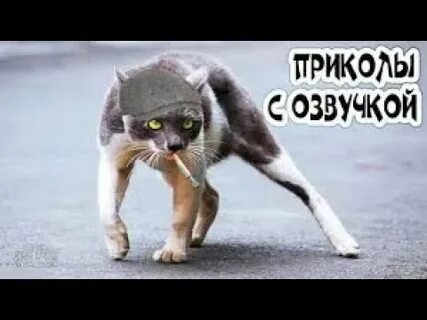 Пойдем домой сайт
