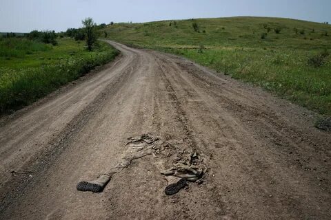 26 августа 2023 года