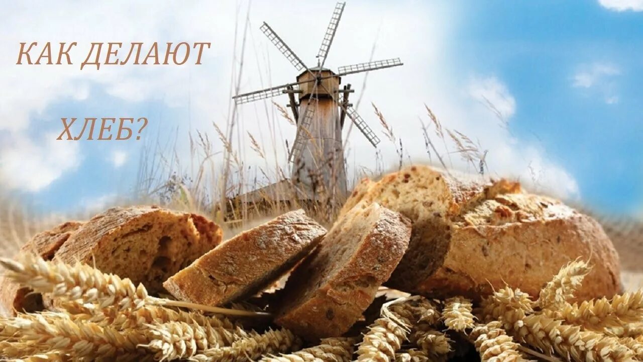 Чья земля того и хлеб. Чья земля того и хлеб