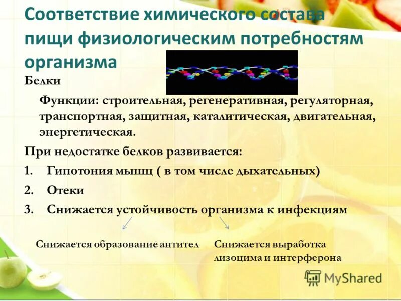 дыхательная функция белка