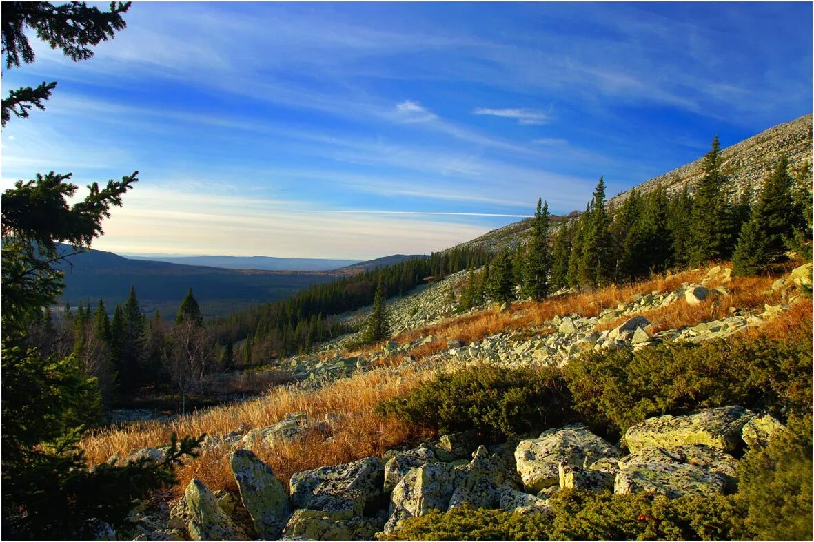 Горы роки маунтин в сша. Александровская сопка южный урал. Таганай. Банф национальный парк флора. Иремель уральские природа.