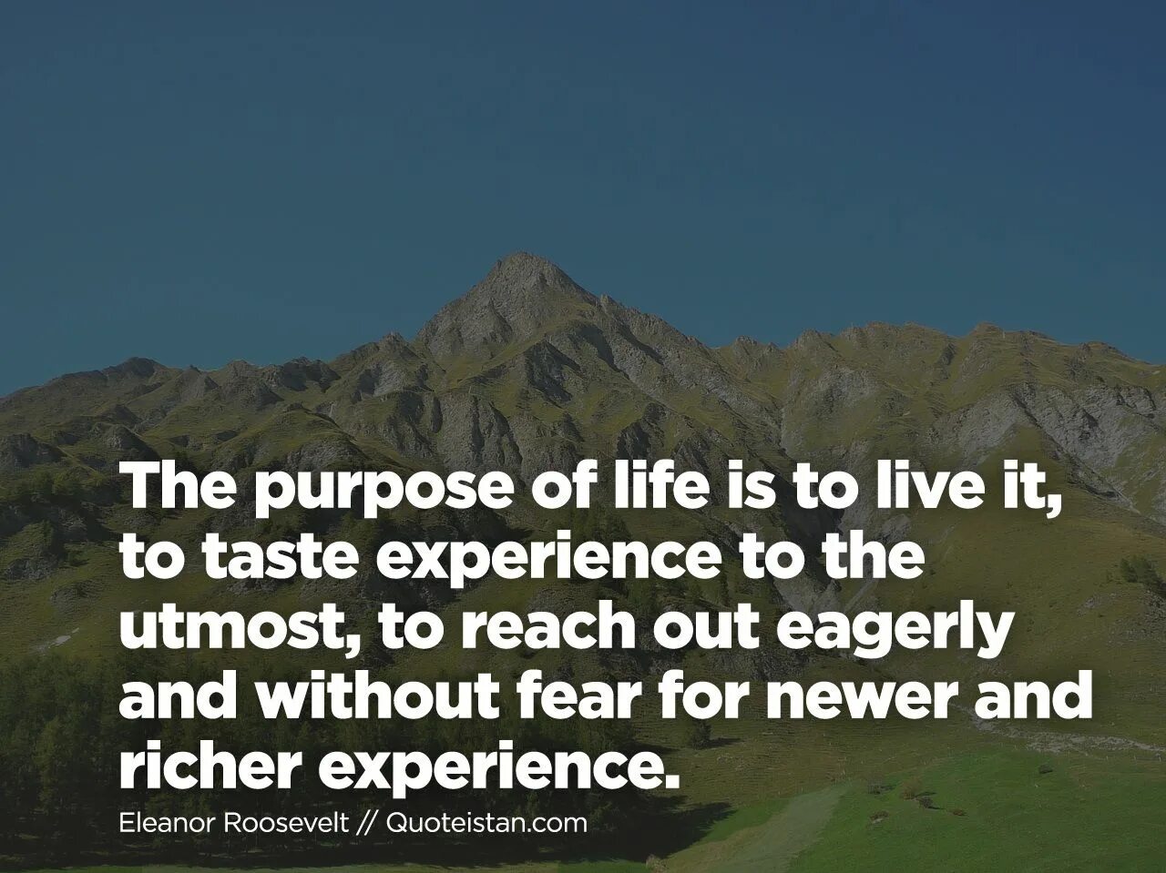 Purpose of life is. Life purpose. Taste experience.