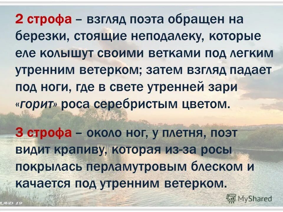 Не зная ваших строф. Стихотворение 4 строфы береза. 2 строфы. строфы в стихотворении родине. строфа есенина о березе.