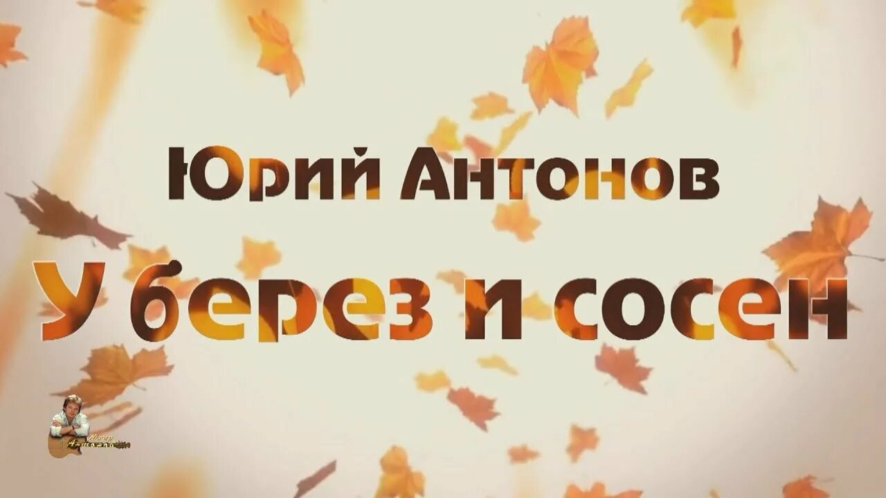 Антонов лепс сосны и березы песня. У берёз и сосен Антонов.