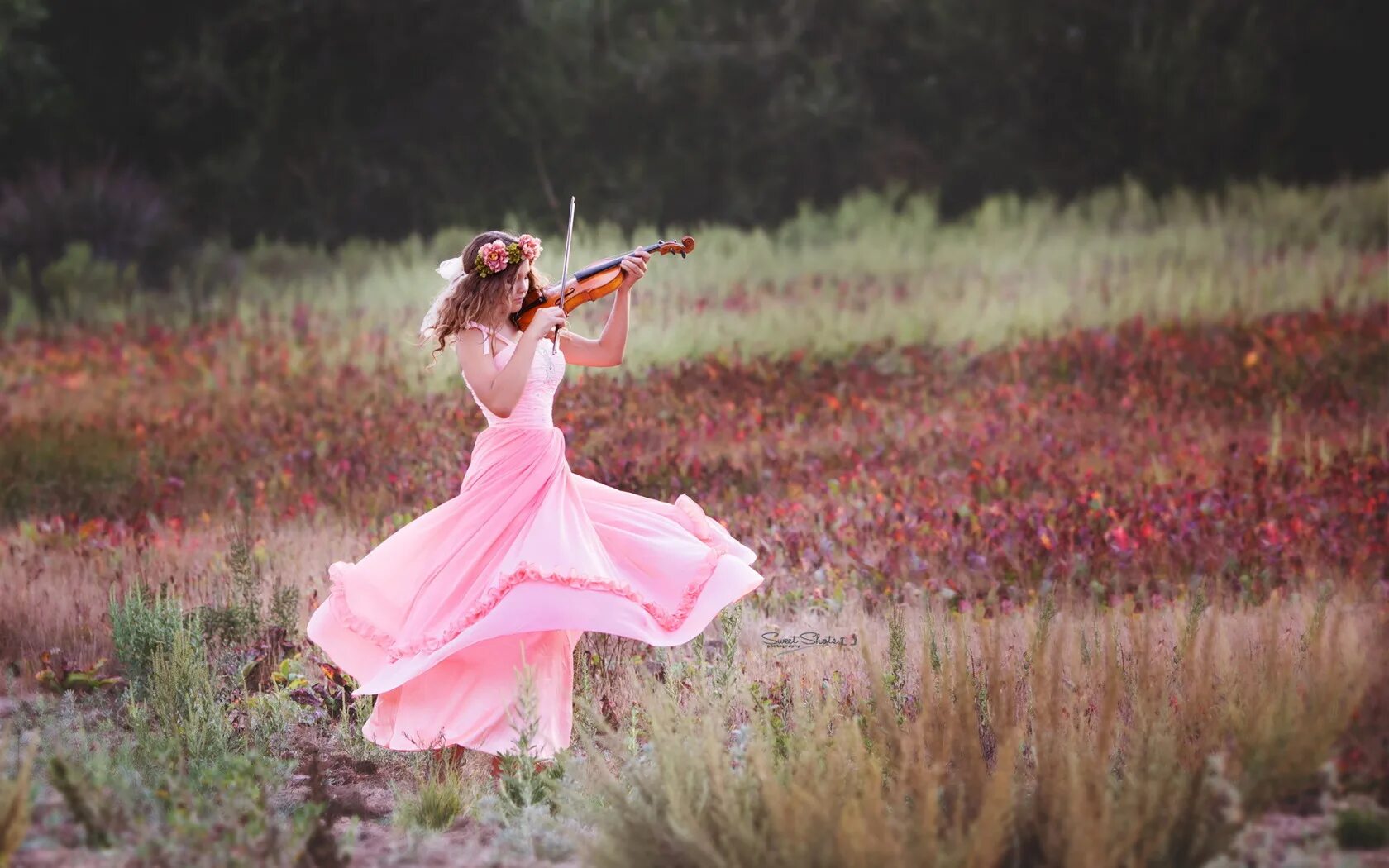 Песня flowers hendrik. Весеннее Вдохновение. Скрипачка на природе. Природа Вдохновение. Женщина Вдохновение.