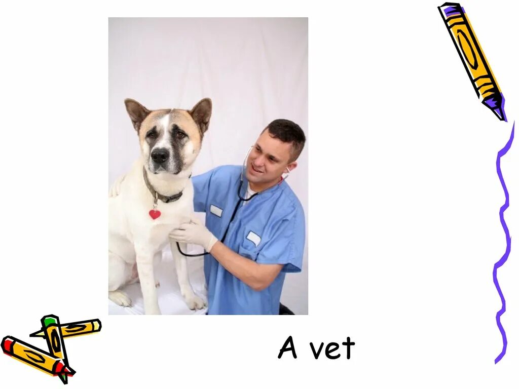 Вет ис. Vet карточка. Vet для детей. Vet Flashcards. Vet на английском.