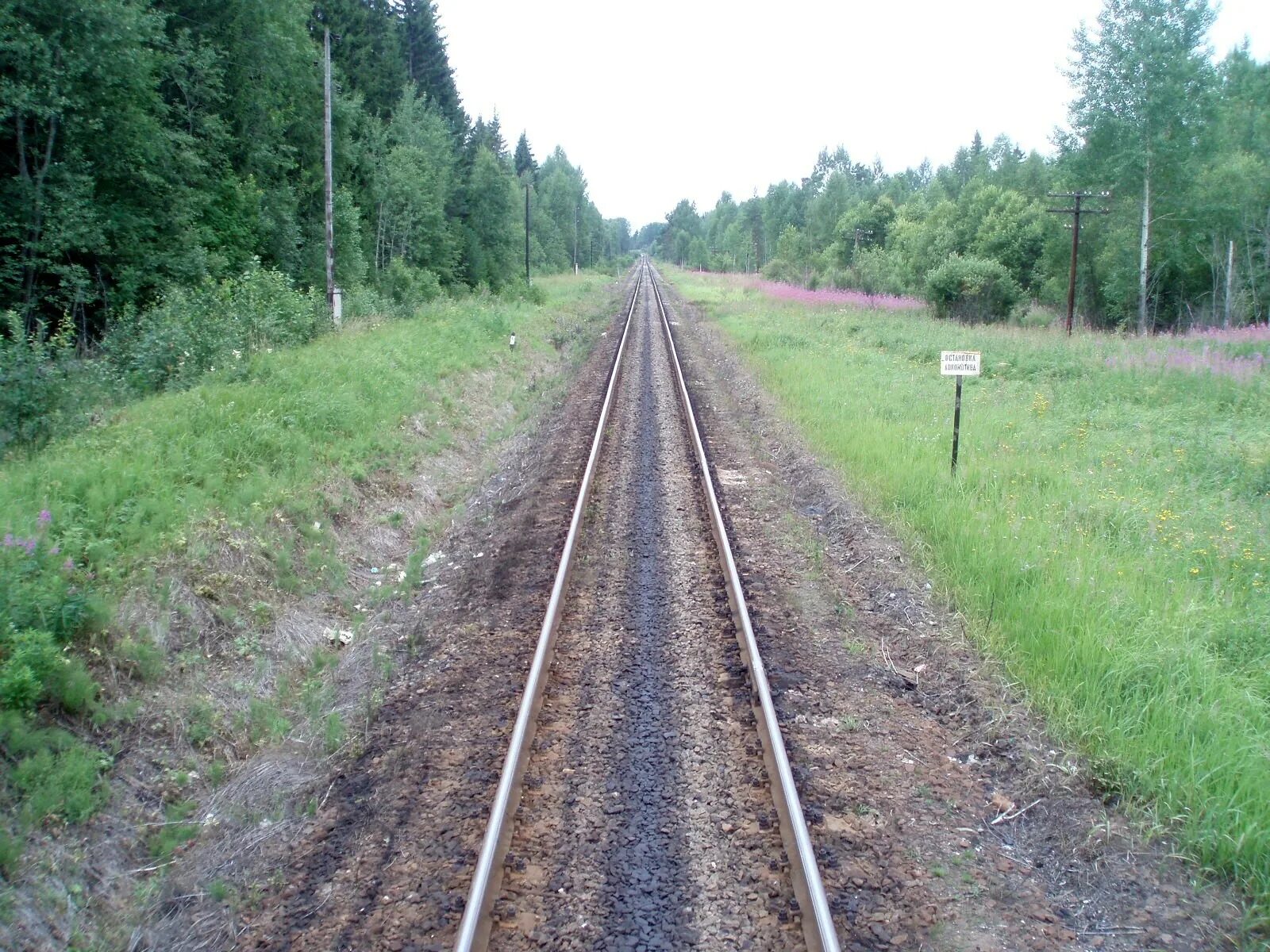 Угловка новгородская область. Станция Угловка. Угловка фото. Кладбище в Угловке Новгородской области.