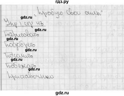 Русский тетрадь страница 48