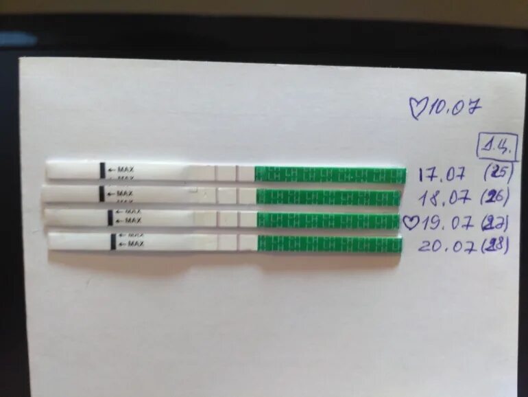 Эвиплан тест на овуляцию. Положительная полоска на овуляцию. Вторая полоска на тесте овуляции. Тест на овуляцию положительный Eviplan. Тест на овуляцию показал слабую полоску