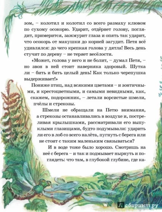 Рассказ про подарки. Рассказ подарок Паустовский. Сказка подарок Паустовский. Иллюстрация к рассказу подарок Паустовский.