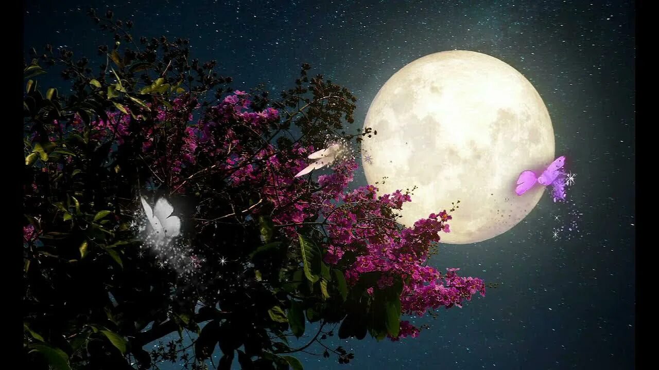 Почему цветочной луны. Красивая Луна. Цветочная Луна. Полнолуние затмение. Красивая Луна и цветы.